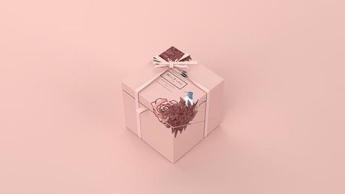 手繪風(fēng)格產(chǎn)品禮盒包裝設(shè)計(jì)